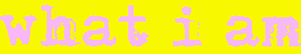img1.gif